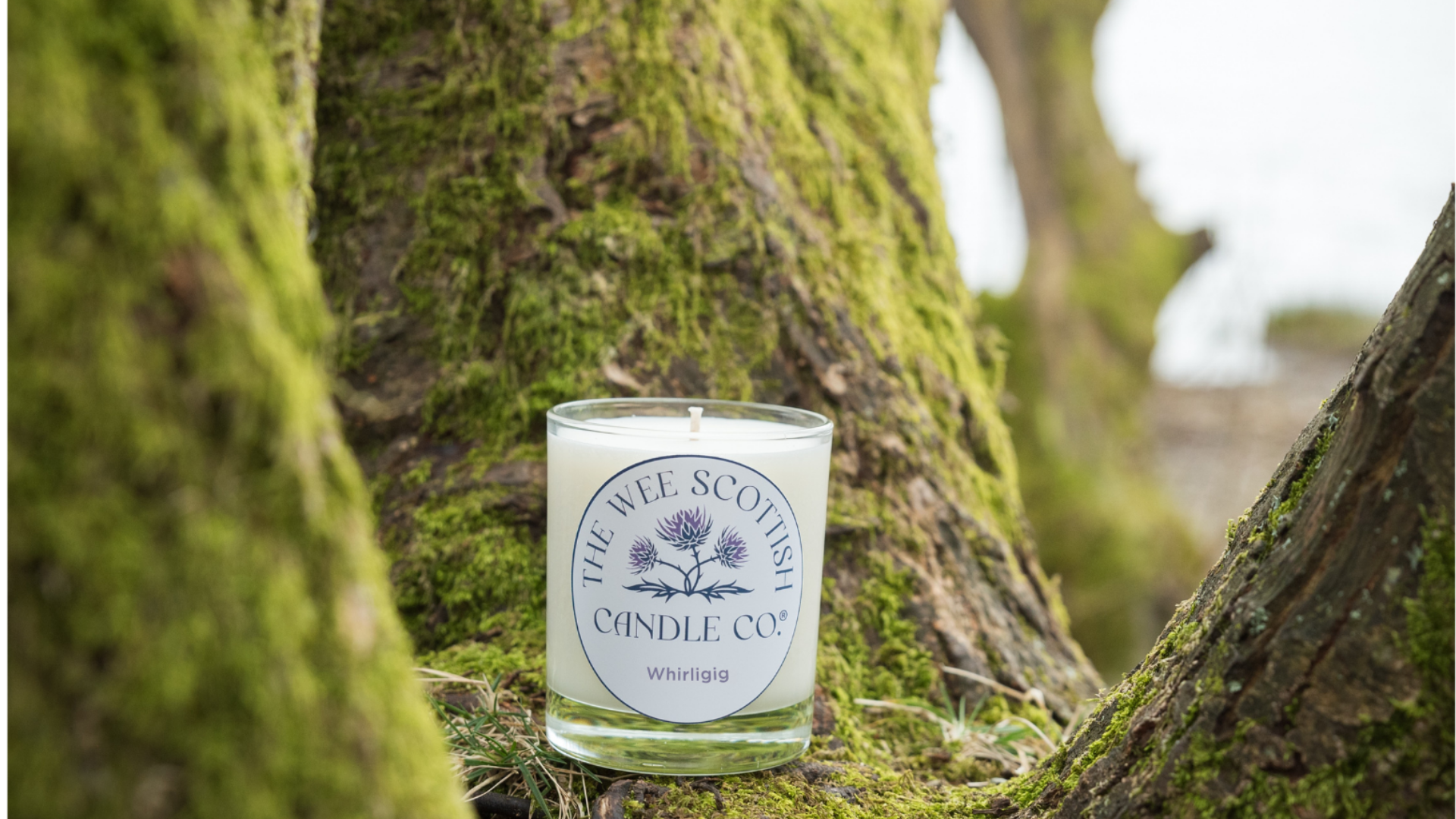 Whirligig candle resting on a tree with loch in the background